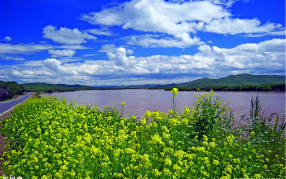 饮用净水器的水究竟是否会导致营养缺乏？