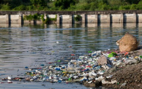 九州(中国)小编解析:水污染之"有机污染物"篇！