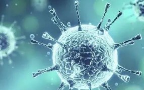 九州(中国)小编解析:水中到底有没有污染之"细菌病毒"篇！