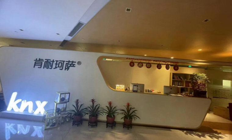 九州(中国)环境科技